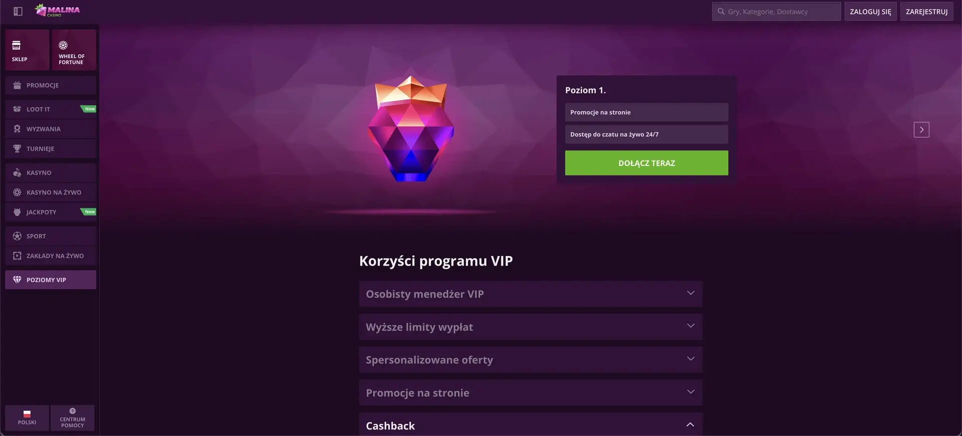 Pierwszy poziom VIP